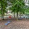 a dog park with trees and benches
