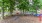 a dog park with trees and benches