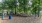 a dog park with trees and a fence
